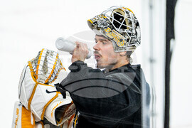 Sweden Penguins Hockey