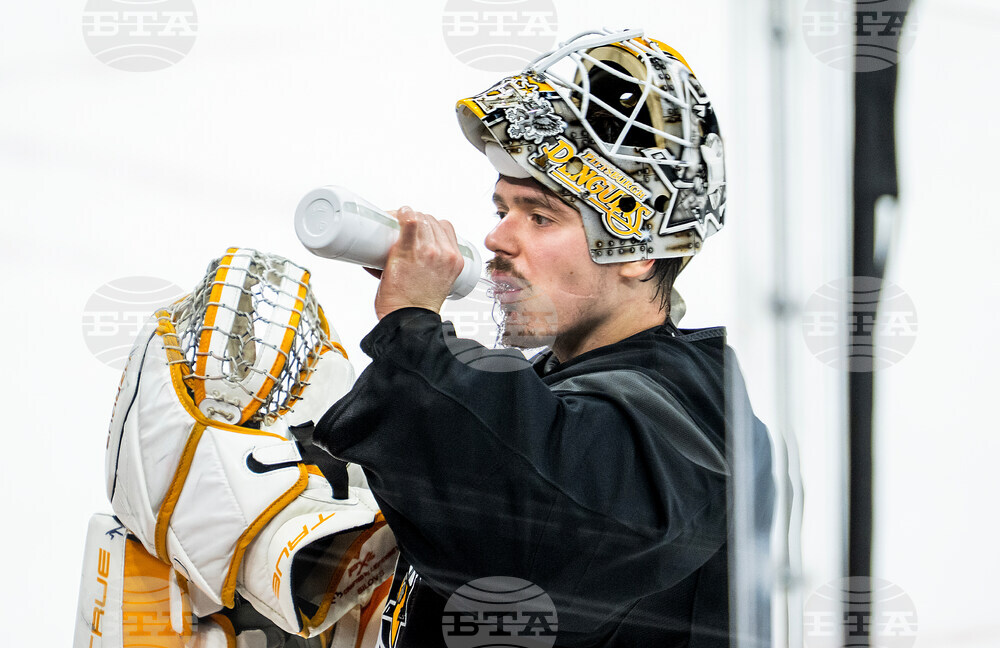 Sweden Penguins Hockey