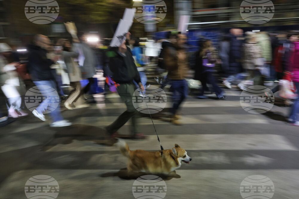 Насилие над животни - „Справедливост за Мая“ - протест