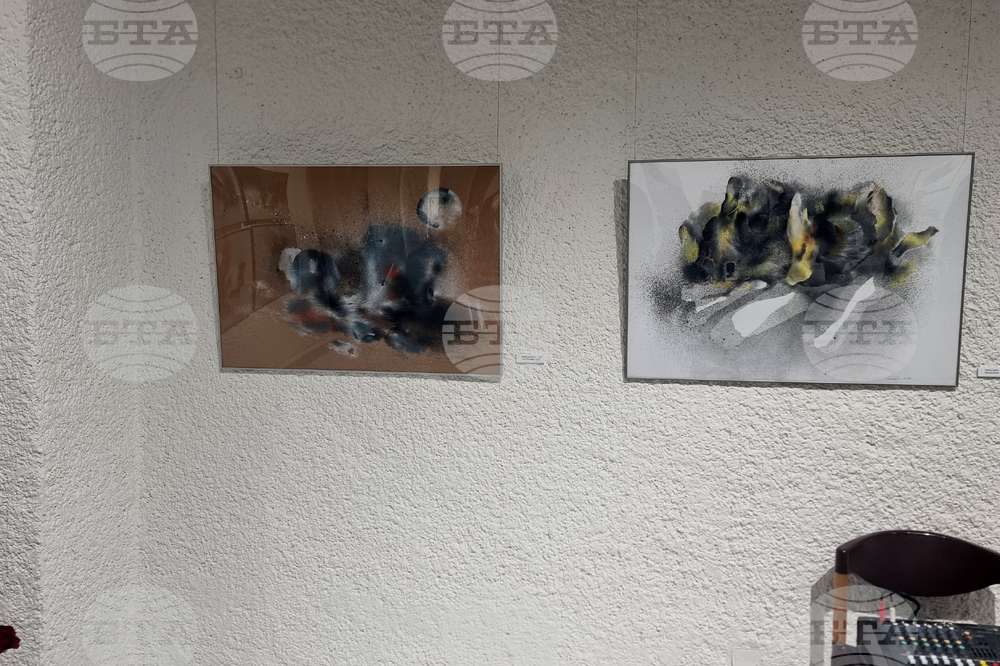 Добрич - изложба - откриване