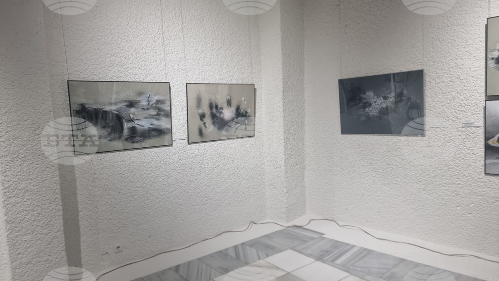 Добрич - изложба - откриване