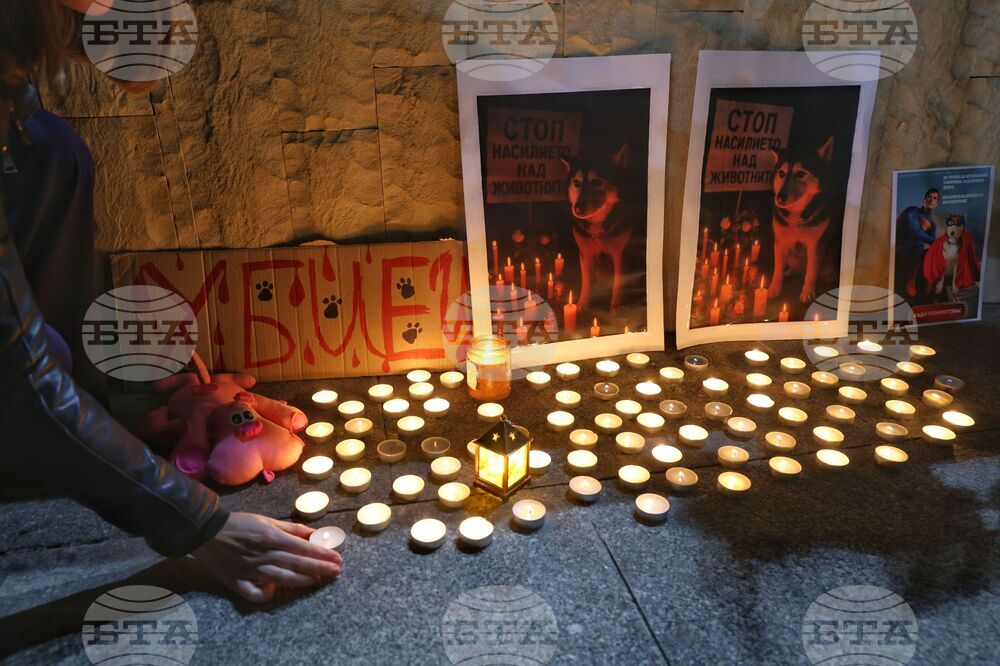 Насилие над животни - „Справедливост за Мая“ - протест