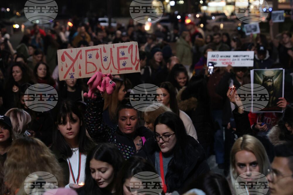 Насилие над животни - „Справедливост за Мая“ - протест