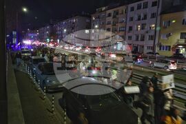 Насилие над животни - „Справедливост за Мая“ - протест