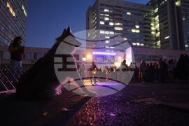 Насилие над животни - „Справедливост за Мая“ - протест