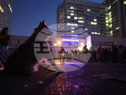 Насилие над животни - „Справедливост за Мая“ - протест