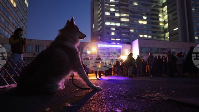 Protest against Animal Cruelty Held in Front of Sofia's Military Medical Academy