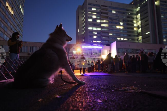 Protest against Animal Cruelty Held in Front of Sofia's Military Medical Academy