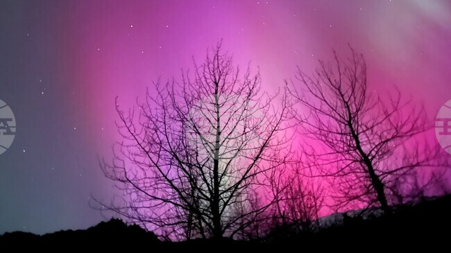 Земетресение с магнитуд 6 разтърси Анкоридж в Аляска