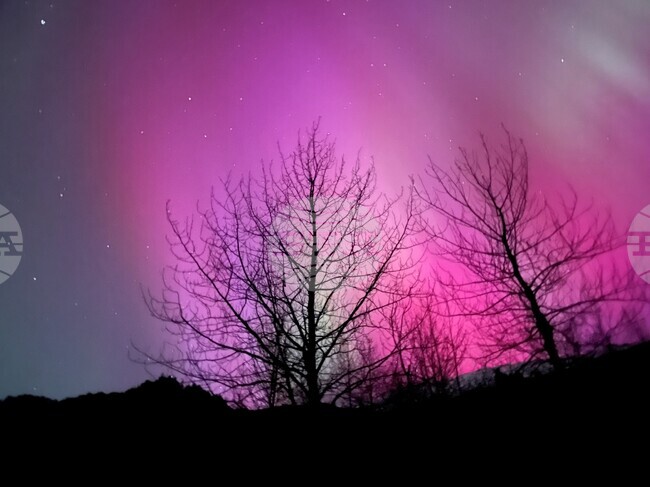 Aurora Borealis-Alaska