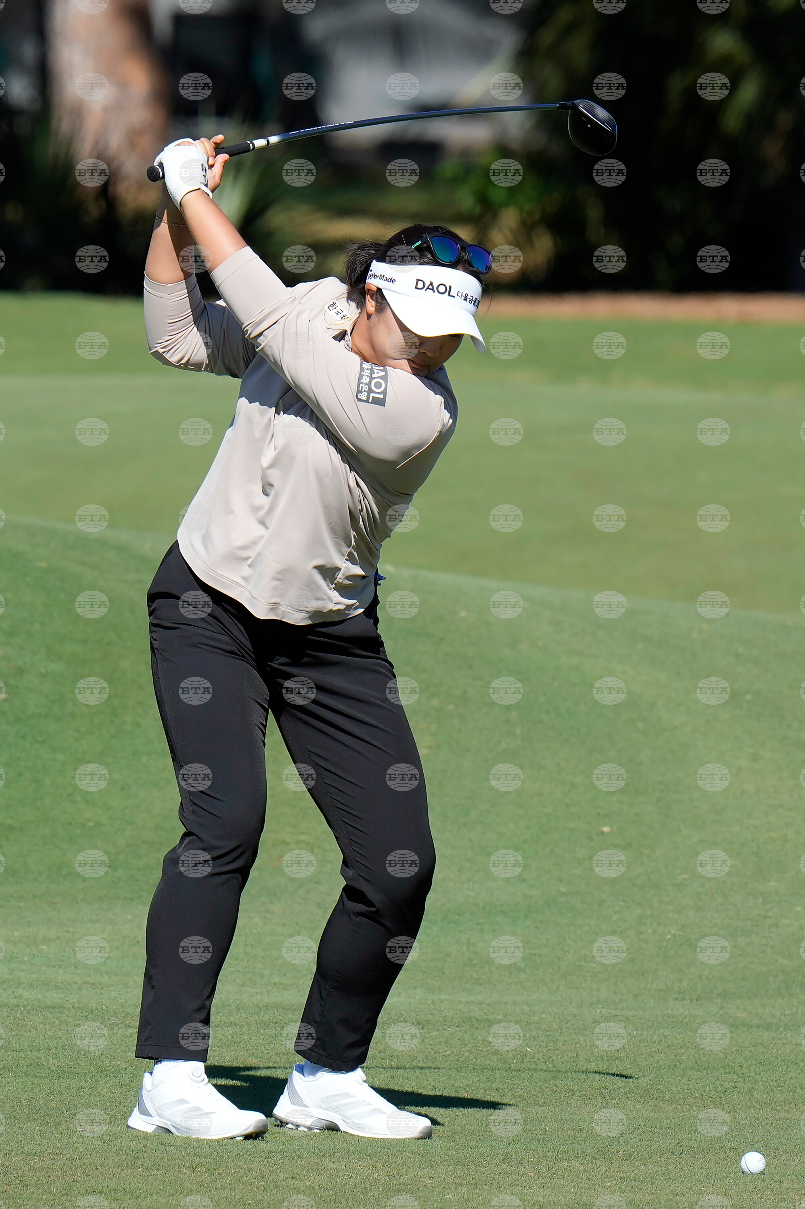 LPGA Tour Golf