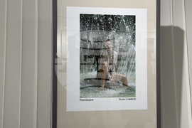 Казанлък - фоторепортери - изложба