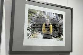 Казанлък - фоторепортери - изложба