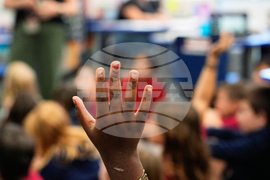 Florida Social Studies What to Know