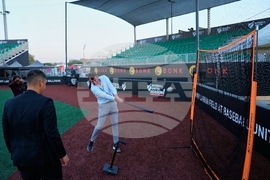 Emirates Baseball United