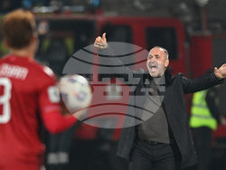 Armenia Hungary WCup Soccer