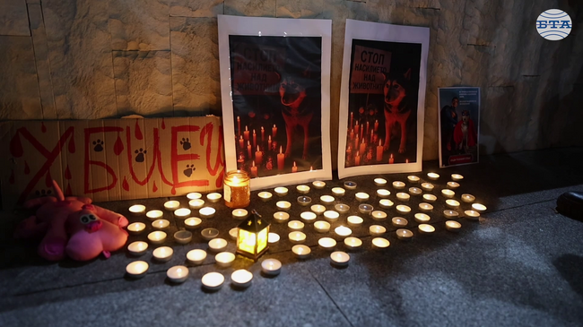  Протестиращи преминаха с шествие от ВМА до НДК