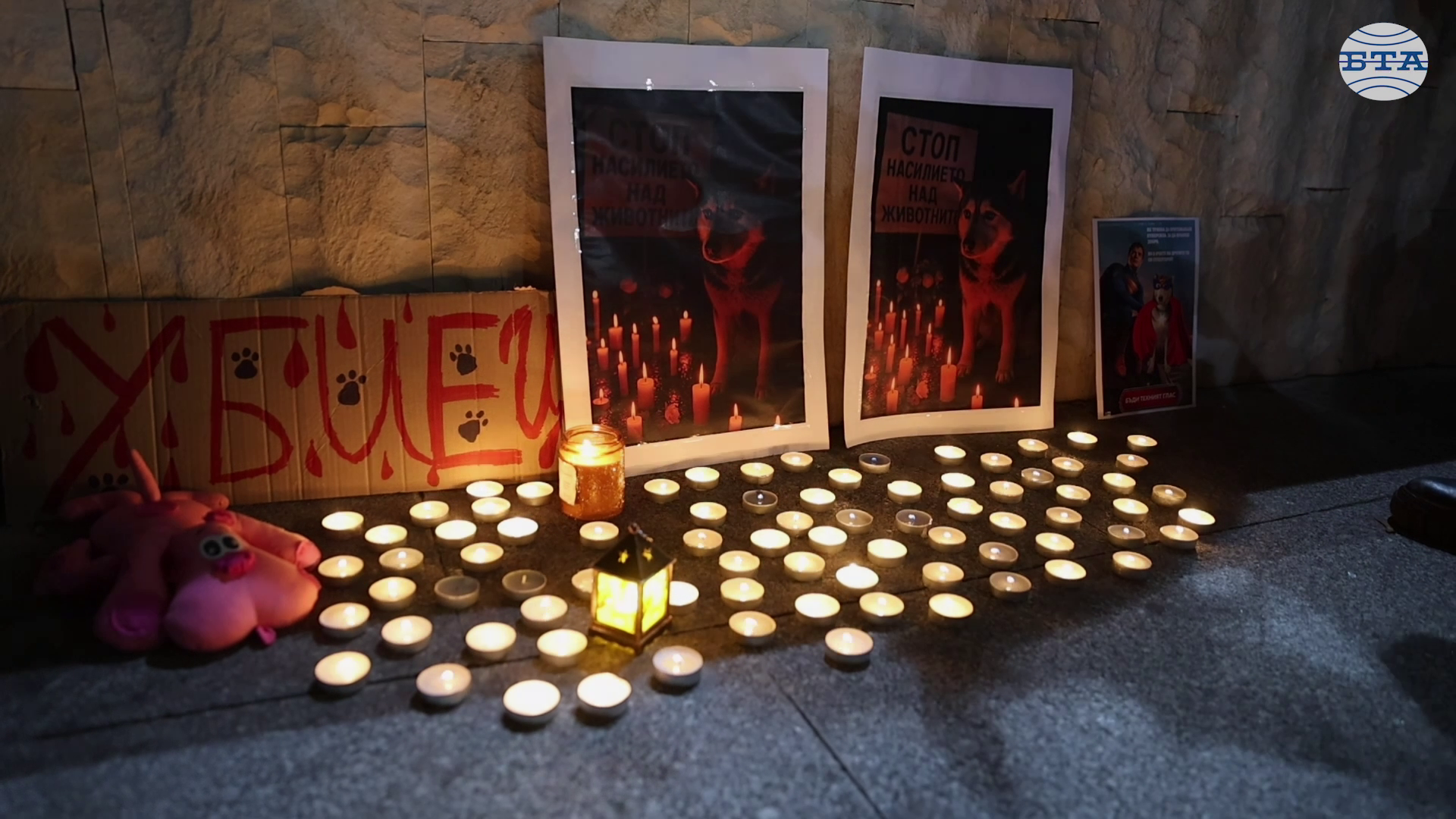  Протестиращи преминаха с шествие от ВМА до НДК