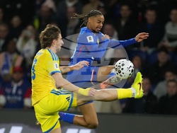 France Ukraine WCup Soccer