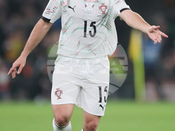 Ireland Portugal WCup Soccer