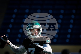 CFl Grey Cup Roughriders Football