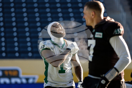 CFl Grey Cup Roughriders Football