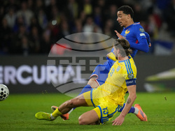 France Ukraine WCup Soccer