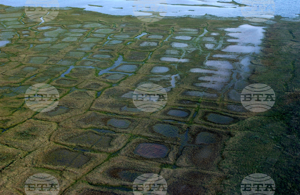 Alaska Petroleum Reserve