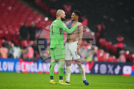 England Serbia WCup Soccer