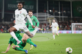 Ireland Portugal WCup Soccer