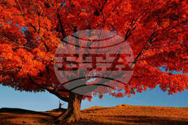 Pictures of the Week Global Photo Gallery