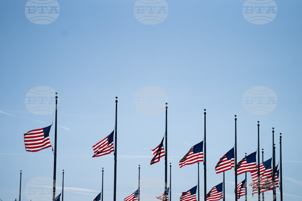 Government Reopening