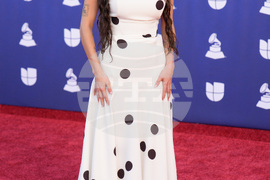 2025 Latin Grammys - Arrivals