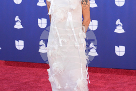 2025 Latin Grammys - Arrivals