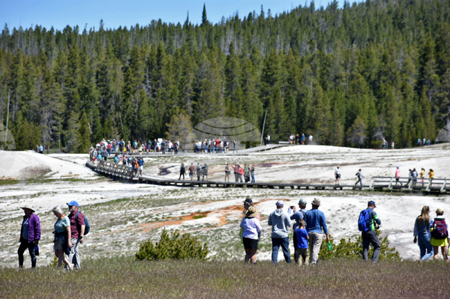 Marijuana Public Lands
