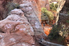 Government Shutdown Opening Back Up