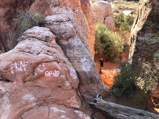 Government Shutdown Opening Back Up