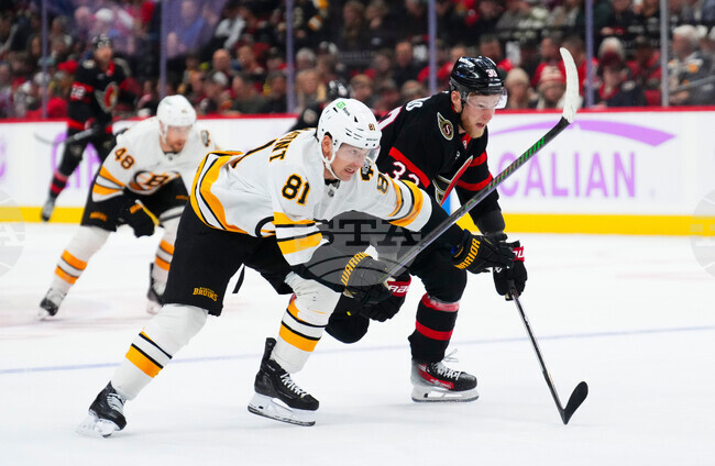 Bruins Senators Hockey