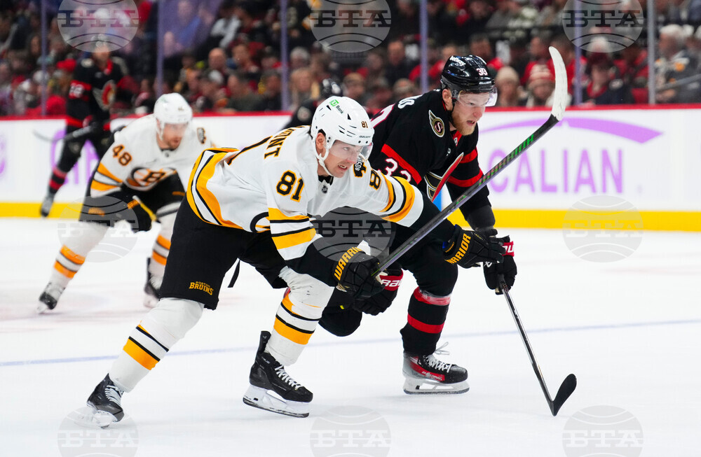 Bruins Senators Hockey