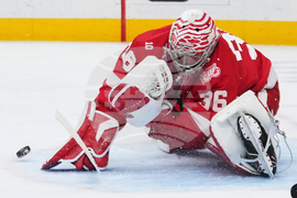 Ducks Red Wings Hockey