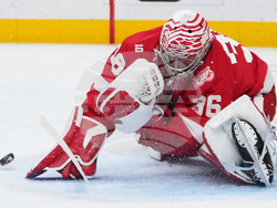 Ducks Red Wings Hockey