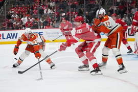 Ducks Red Wings Hockey