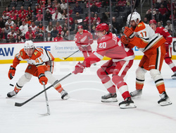 Ducks Red Wings Hockey