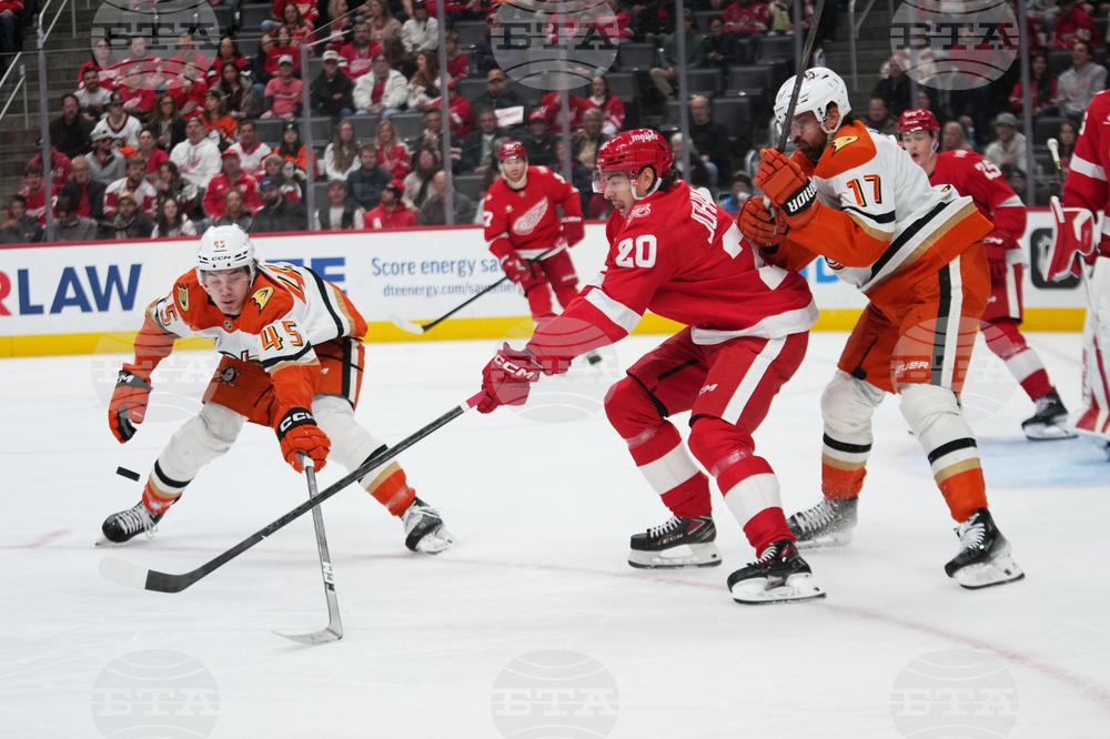 Ducks Red Wings Hockey