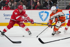 Ducks Red Wings Hockey