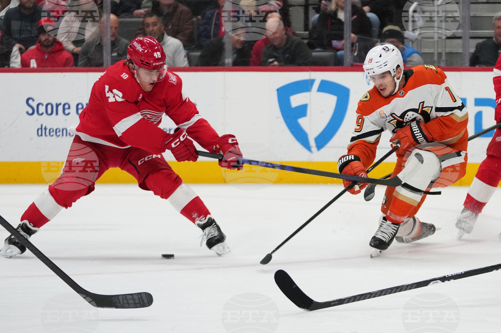 Ducks Red Wings Hockey