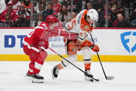 Ducks Red Wings Hockey