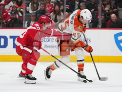 Ducks Red Wings Hockey