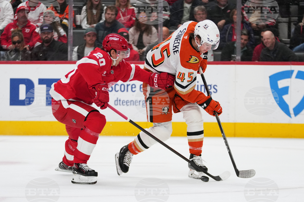 Ducks Red Wings Hockey