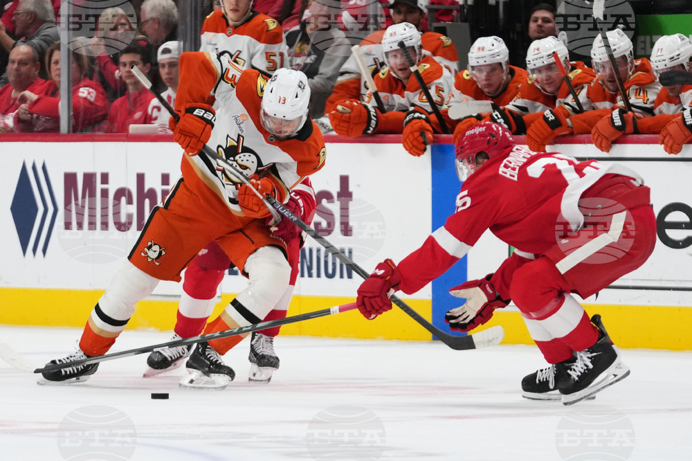 Ducks Red Wings Hockey